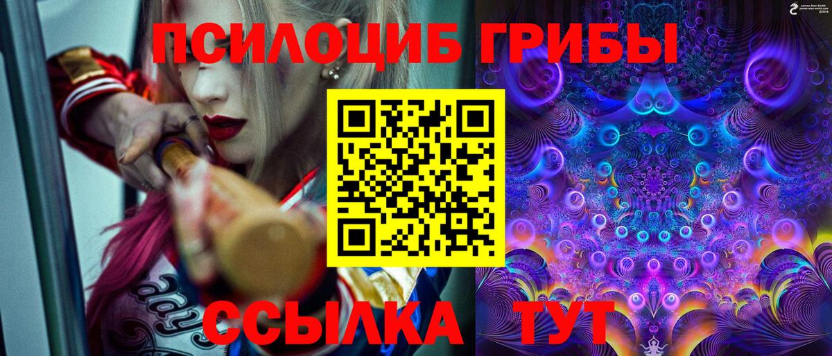 как найти закладки  Вход с VPN  Нальчик  Галлюциногенные грибы ЛСД  Галлюциногенные грибы Psilocybe 